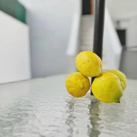 Lemon Tree With Patio Apartment Lisbon